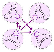 Network Dynamics